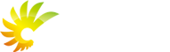 长沙网站建设|长沙微信建设|长沙做网站|长沙微信开发|长沙网站制作|长沙建站推荐|长沙乐禹网络_专业长沙网站制作公司_长沙最好的网络公司 