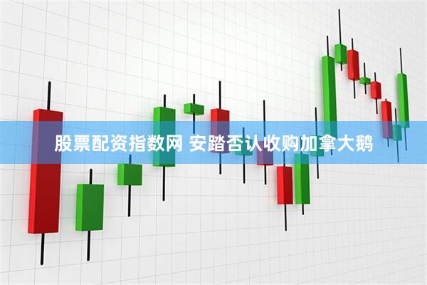 股票配资指数网 安踏否认收购加拿大鹅