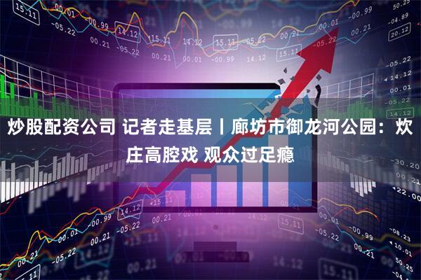 炒股配资公司 记者走基层丨廊坊市御龙河公园：炊庄高腔戏 观众过足瘾