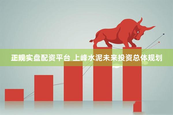正规实盘配资平台 上峰水泥未来投资总体规划