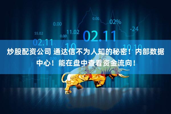 炒股配资公司 通达信不为人知的秘密！内部数据中心！能在盘中查看资金流向！