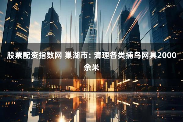 股票配资指数网 巢湖市: 清理各类捕鸟网具2000余米