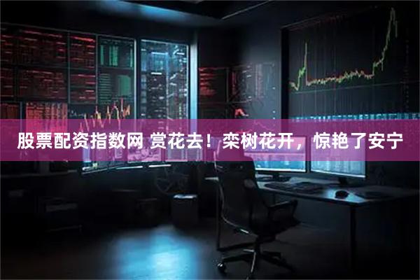 股票配资指数网 赏花去！栾树花开，惊艳了安宁