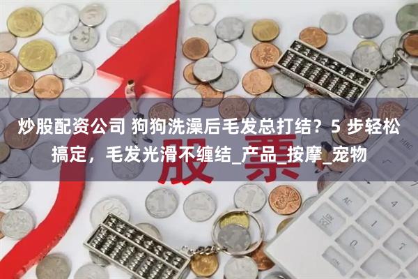 炒股配资公司 狗狗洗澡后毛发总打结？5 步轻松搞定，毛发光滑不缠结_产品_按摩_宠物